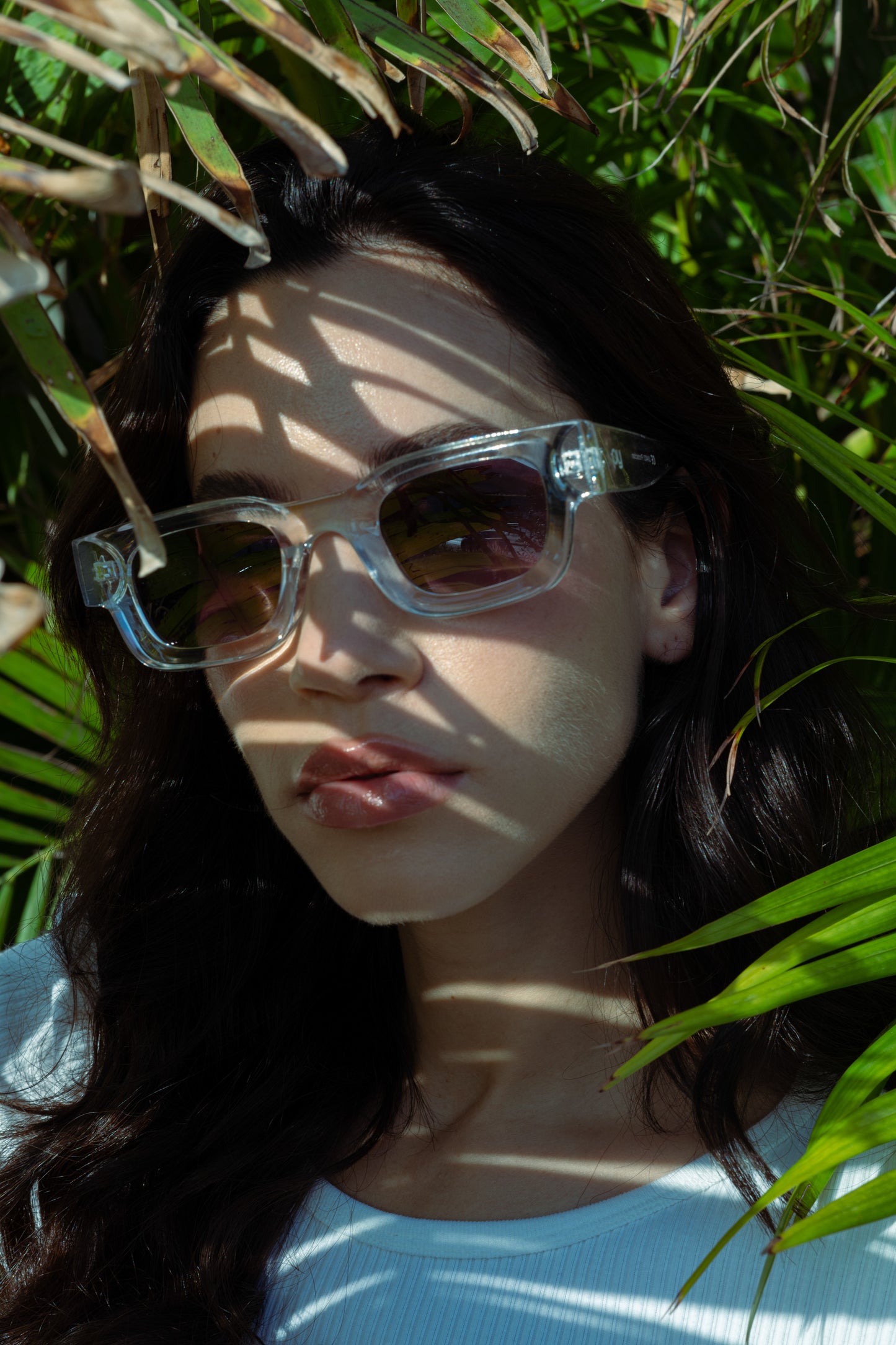 Lidi Transparent